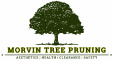 Morvin Tree Pruning